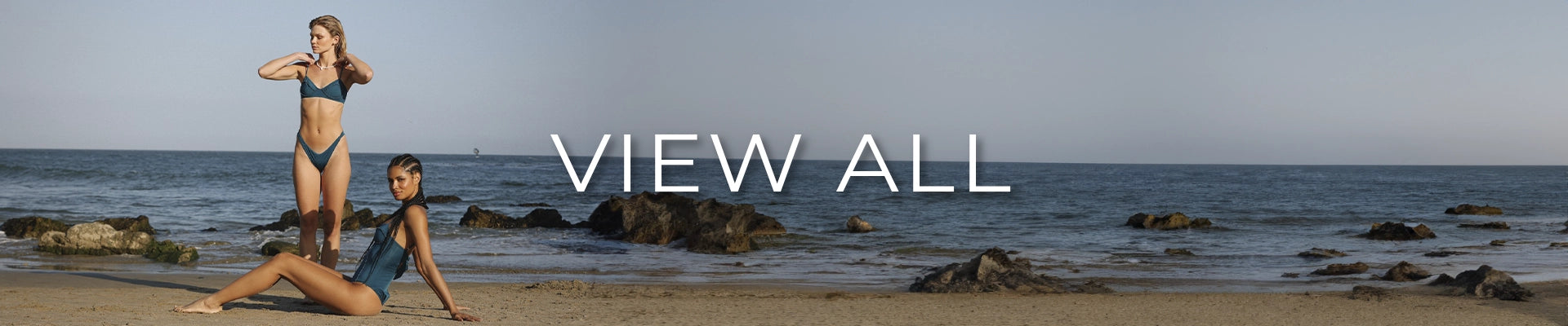 Banner_View_All.webp